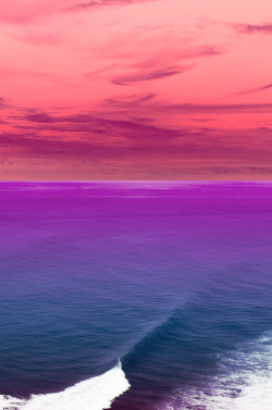 Centipede:  Pink Skies And A Violet Sea 