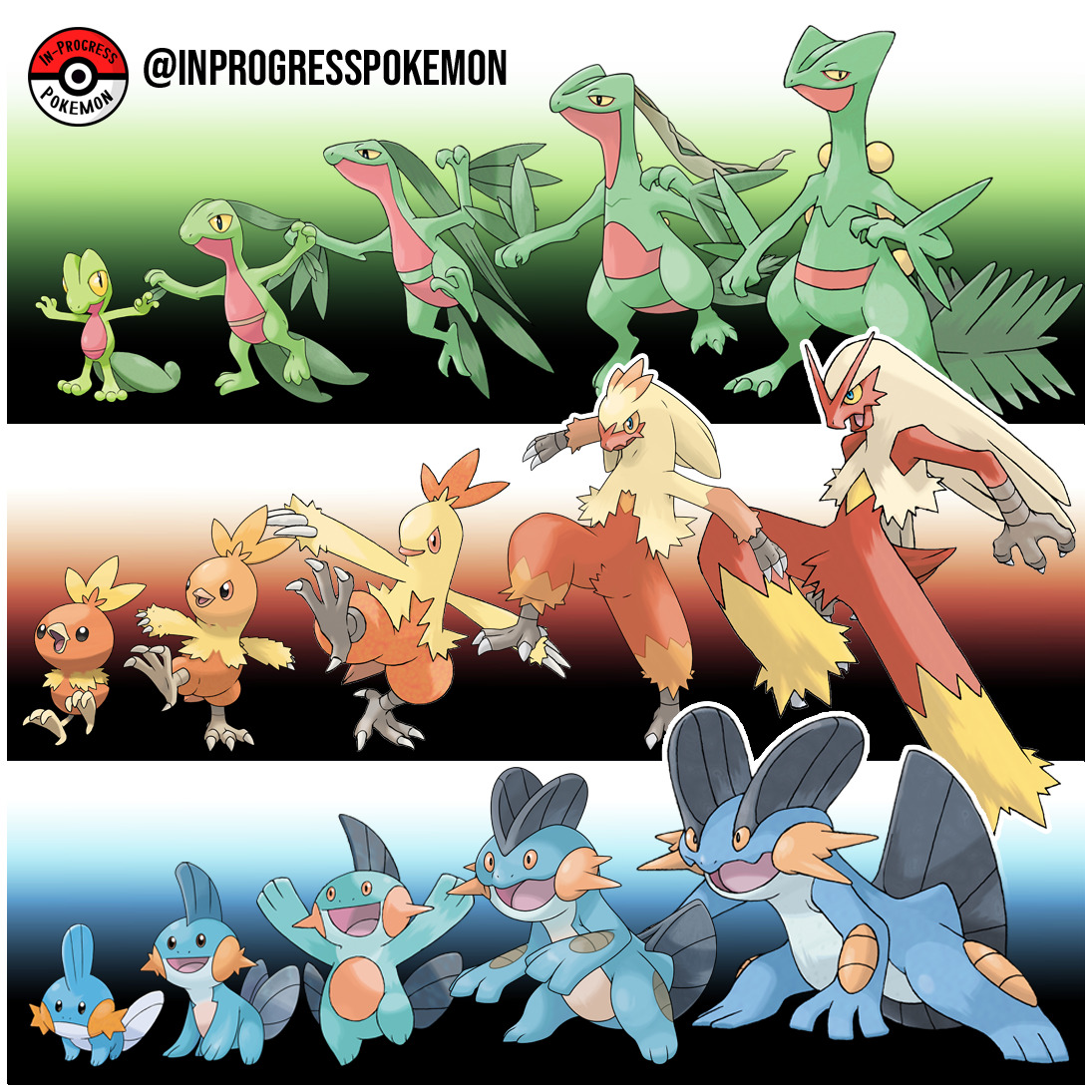 mudkip evolutions