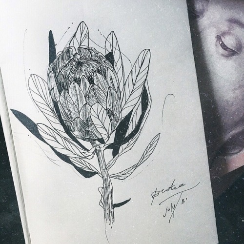 flowers sketches