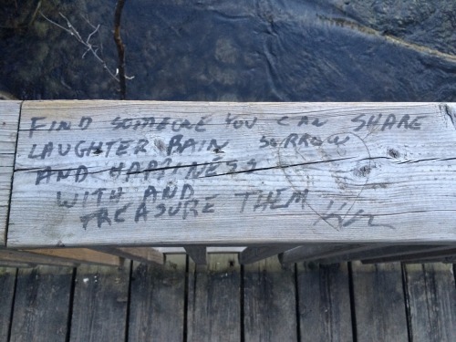 sadghostgrl: i came across this at my local park and it made me happy but also sad. it says, “