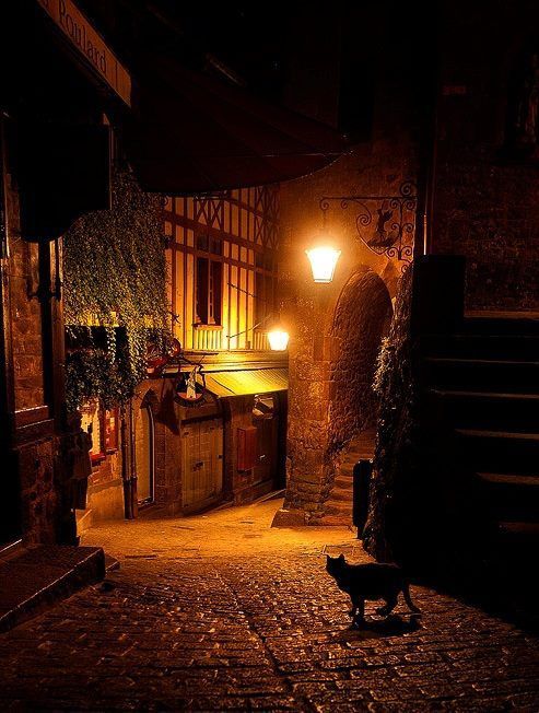 bluepueblo:  Dark Night, Mont Saint Michel, France photo via sandra 