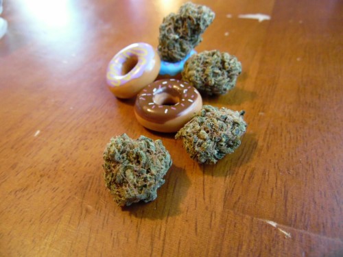 smoketogethighcustheworldissolow:  I got another doughnut