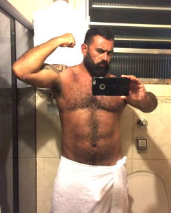 bears ,beards, hairy,daddies.