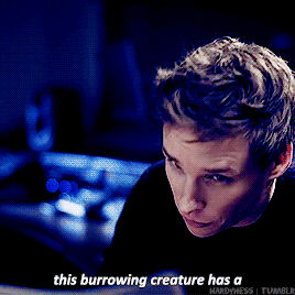 hardyness:  Eddie Redmayne + the Niffler for new Fantastic Beasts audio book.