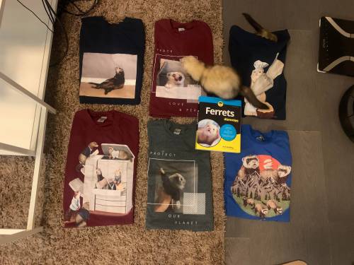 Finally got my shirts in the mail : ferrets