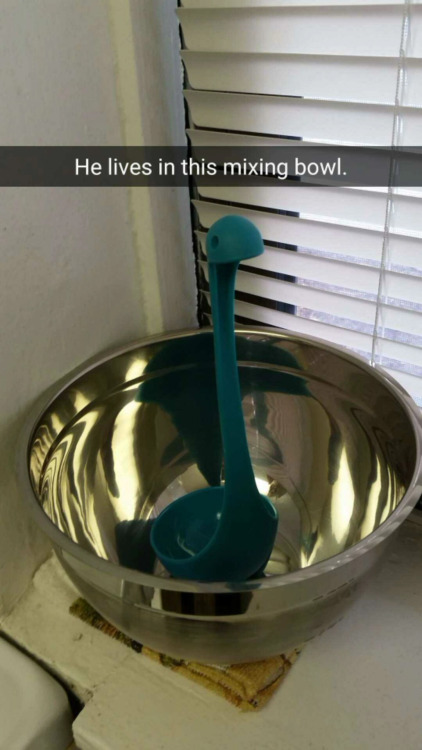 manageable-mischief:  theinturnetexplorer:   I can honestly say i’ve never seen a more entertaining ladle.  @somebizarrereason   i needs thisssssssssss. i wants a samson!!!!