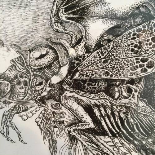 Some details from my most recent drawing. #inkartwork #details #dailydetails #animalart #insectlover