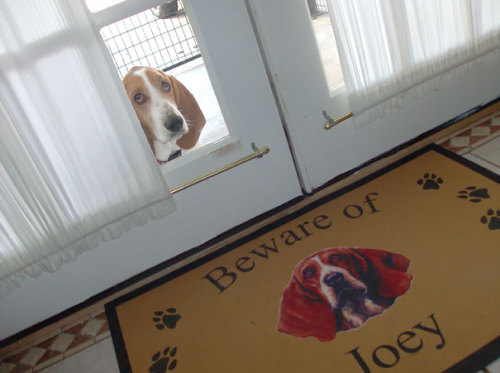 foodfightme: awesome-picz: Dangerous Dogs Behind “Beware Of Dog” Signs. Joey has killed more than