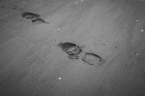 dadaepo beach, busan