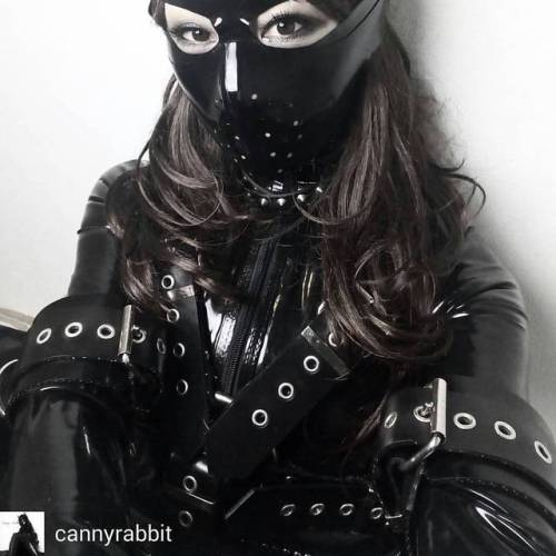 Credit to @cannyrabbit : Hi #bodyharness #selfie #rubber #latex #shooting #fetish #fetishphoto #mask