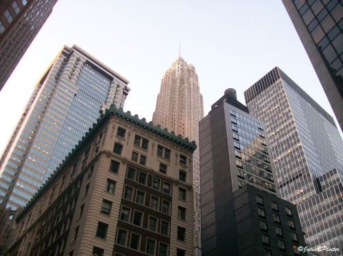 franchisefan14:  NYC! Pics I took in New York City!