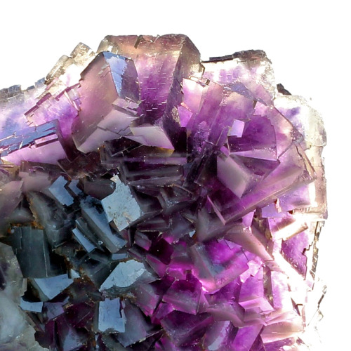 hematitehearts:  FluoriteLocality: Ice Cleft, Weisseck, Lungau, Salzburg, Austria