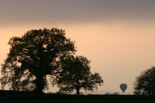 Hot air balloon in the vespertine stillness. Over Leigh on Mendip, Somerset, England