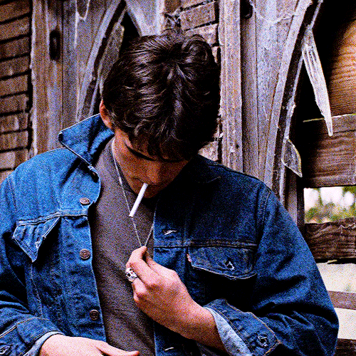THE OUTSIDERS (1983) Dir. Francis Ford Coppola