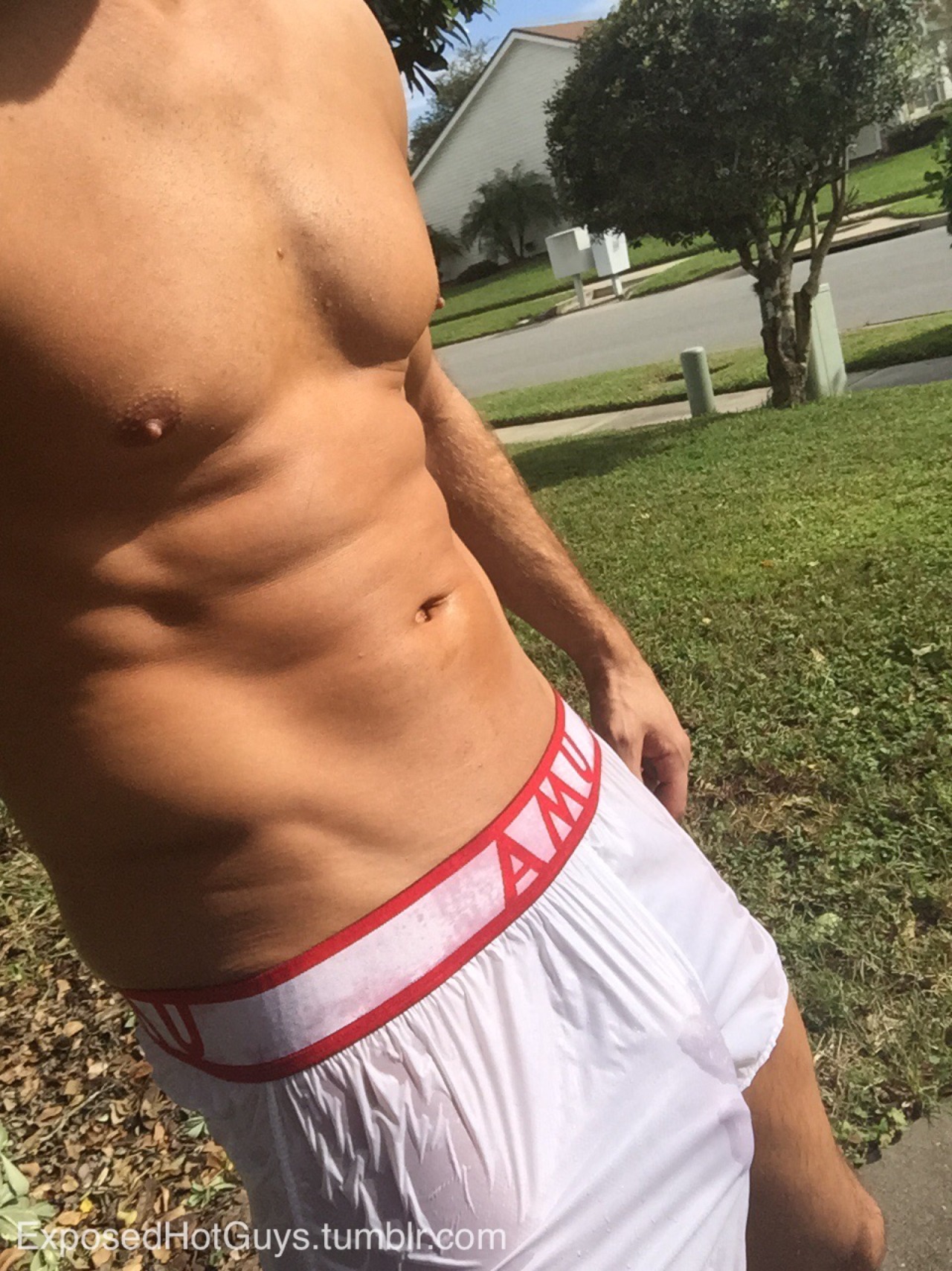 exposedhotguys:  My friends at AlphaMaleUndies.com sent me a pair of their nylon