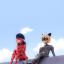 themiraculouslover