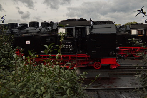 Grey and black.Steam train in the Harz Mountains, 2017.