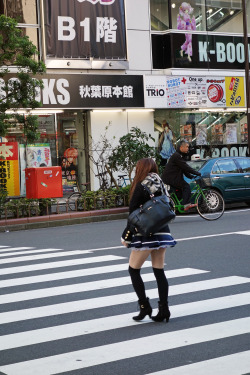 ninetail-fox:  a crosswalk ,Akihabara 