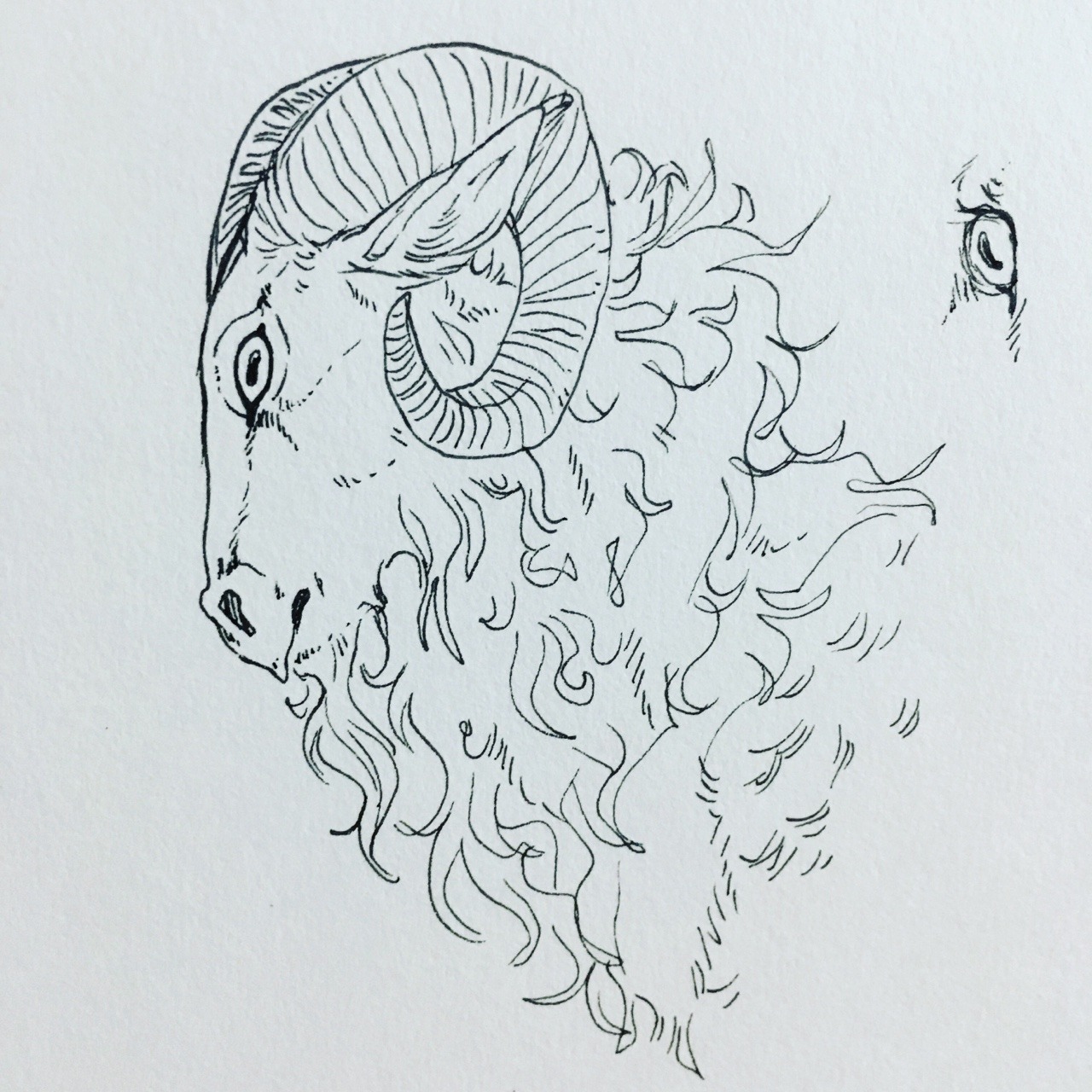 cremsie:Some ink doodles