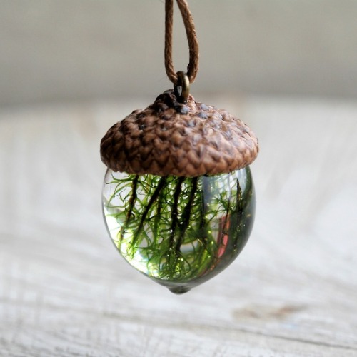 sosuperawesome: Acorn Pendants Dabas Rotas on Etsy See our #Etsy or #Jewelry tags  