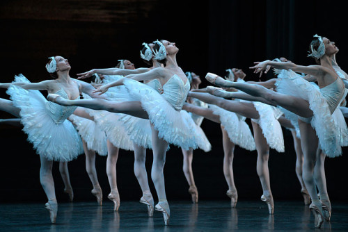 strechanadi:  Paris opera ballet Le lac des cygnes photo: Benoite Fanton 
