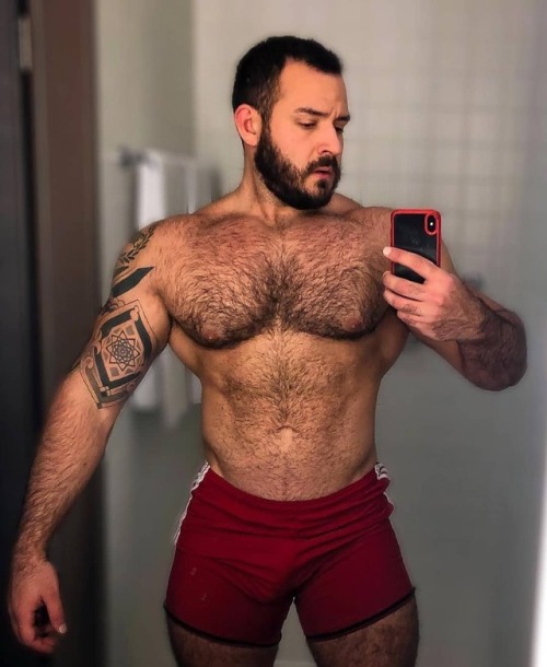 hairymusclegodz: Presenting: @brandtroessler #hairy #muscle #musclebear #hairychest #hairypecs #pecs