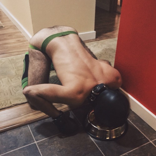 Kinktastic!
