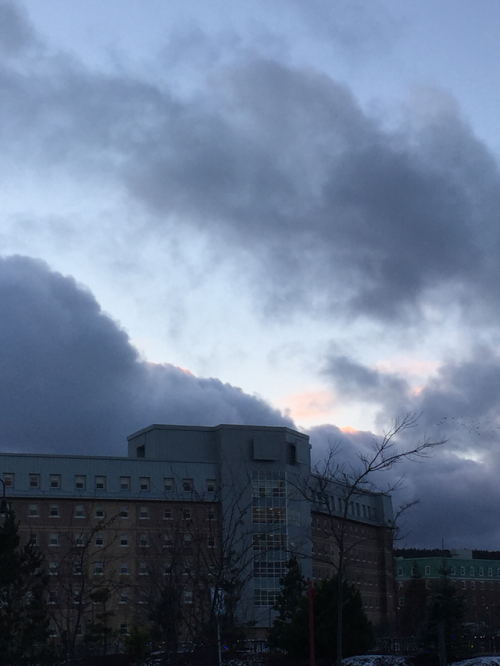 Memorial University, Newfoundland