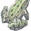 oofowchmybones