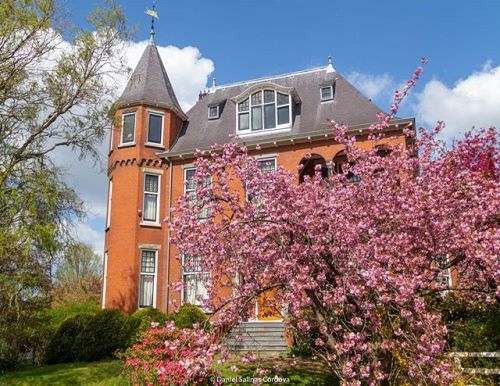 This little chateau-style house is one of my favorite buildings in Leiden, specially now with the ch