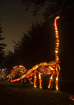 sixpenceee:  A brontosaurus was carved out of pumpkins. 