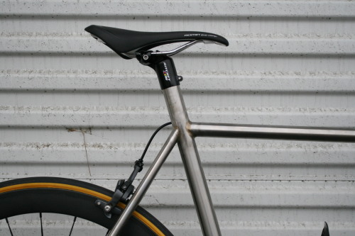 ilovezima:Moth Attack Stainless Steel 