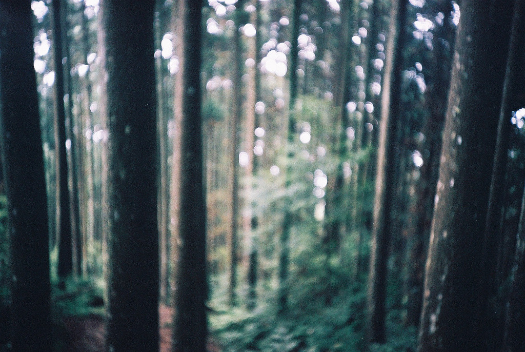 stagnants:  (by anan.)