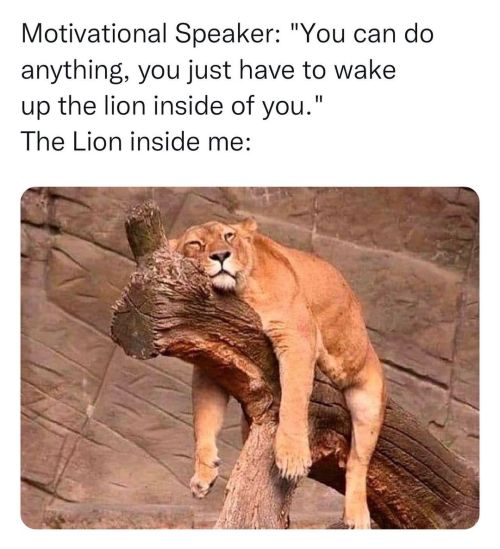 classicalshits:  😂😂😂 that’s me  Tag your Tiger Friends https://www.instagram.com/p/Cbr8MsttQbp/?utm_medium=tumblr