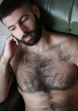 stkjstkj: http://accidentalbear.com/naked-hairy-hunk-may-break-the-internet-for-real-this-time-kyle-in-lucky-green-chair/