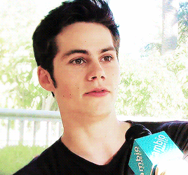 ohhoechyasss - All Hale Hoechlin