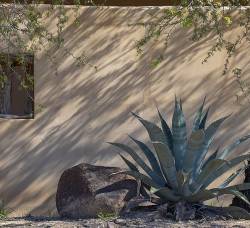 Tracesoftexas:west Texas Design Elements: Window, Wall, Stone, Agave…Https://Www.instagram.com/P/Brippeql7Dh/?Utm_Source=Ig_Tumblr_Share&Amp;Amp;Igshid=1B4Sk9R33Gf41