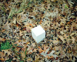 mpdrolet:  Zoe’s Ashes, 2010 Tealia Ellis Ritter