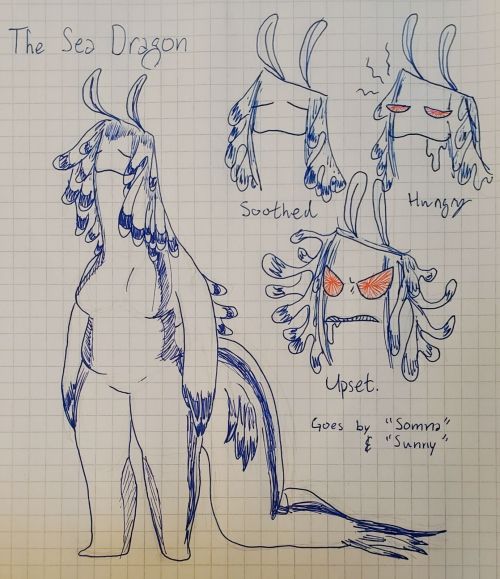 The Sea Dragon "Somna",A Sleepy Beast Who Lives Willingly In An Aquarium, Under Magi-researchers Close