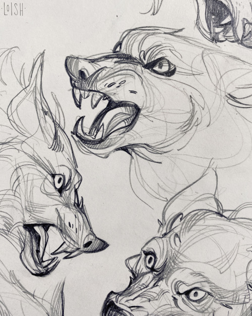 Wolf sketches from ref! Been getting back into sketchbook stuff and it’s been nice.Process video for