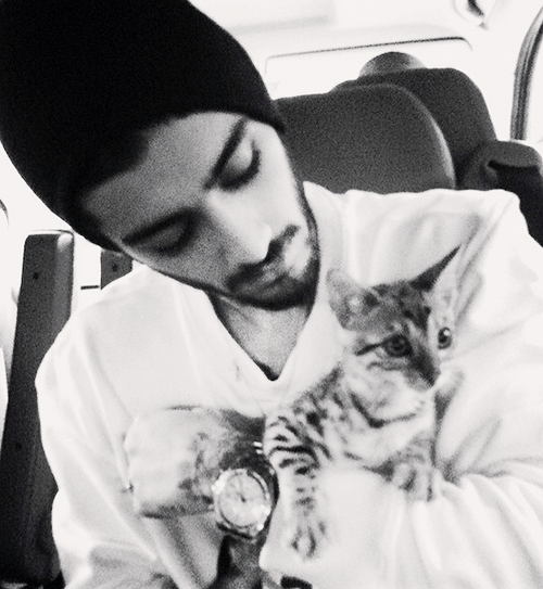 eroticaremix1:  @niazkilam: Meet my tiger :) 