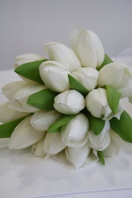 this-odd-in-me:   i would love to have some tulips <3 🌷🌷🌷  