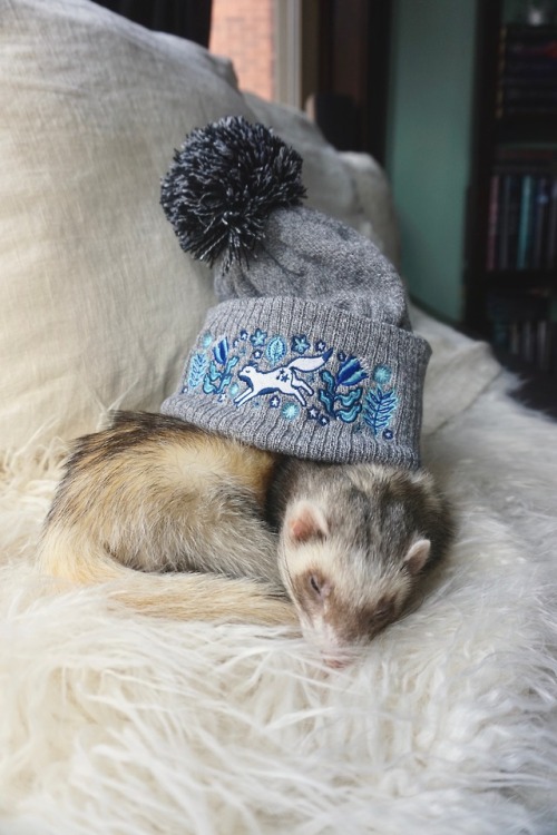 the-book-ferret:Sweet Winter Dreams