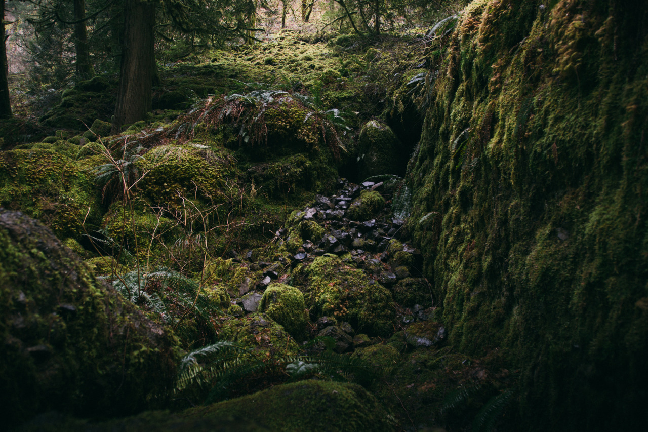 saepphire:  peterjschweitzer:  We drove up the Historic Columbia River Highway and
