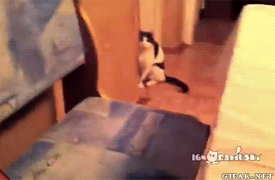 &ldquo; Don&rsquo;t try to fool me. I&rsquo;m a predator and I can see