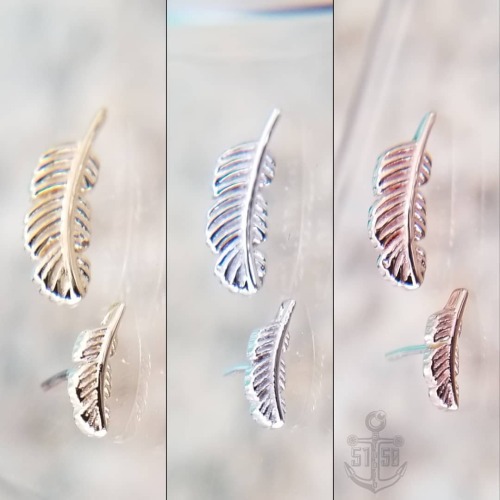 These are so cute in tragus, conch, and helix piercings! Perfect little feathers by @bvla @safepierc