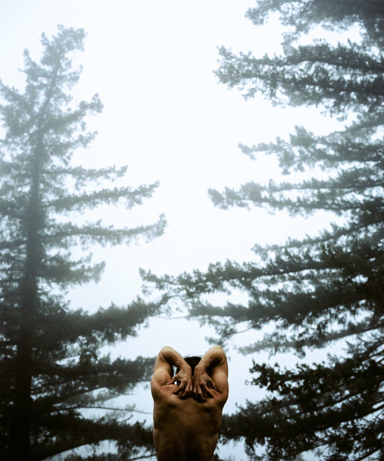 morgan-lugo:Neurosis 2