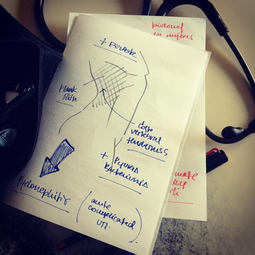 Complicated UTI and suspected pyelonephritis made easy. (at Chera)