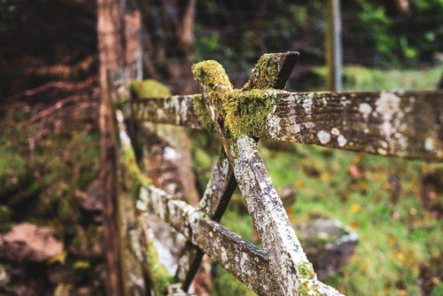 witchy-kitchen-craft - A weekend in the English Countryside....