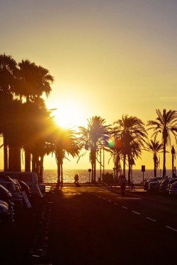 alecsgrg:  Tenerife | ( by Anton Gabov )  